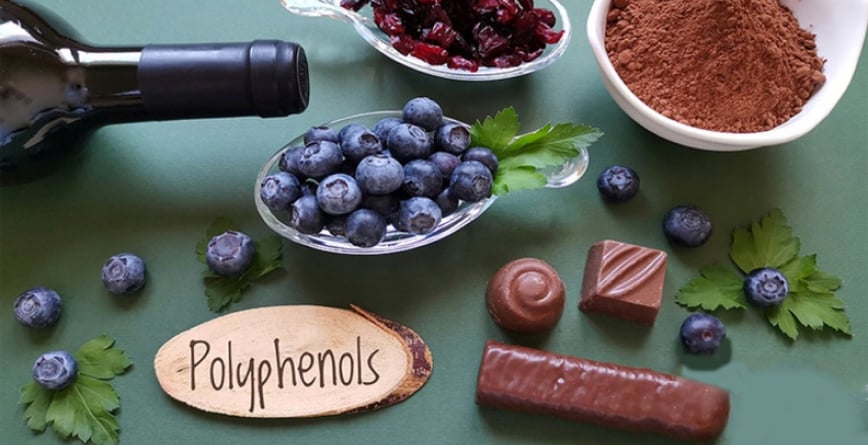 Polyphenol là gì? Lý do cơ thể bạn cần Polyphenol