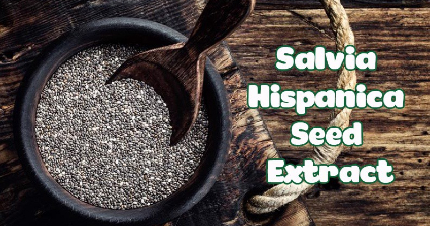 Salvia Hispanica Seed Extract (Chiết xuất hạt Chia) trong mỹ phẩm?