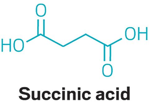 Succinic acid - Thành phần trị mụn mới nổi đáng giá