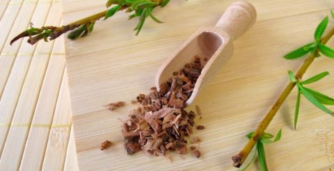 Công dụng của chiết xuất vỏ cây liễu trong làm đẹp bạn đã biết?