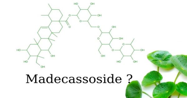 Madecassoside hay phức hợp Cica - White có công dụng làm dịu và cải thiện tình trạng da bị tổn thương