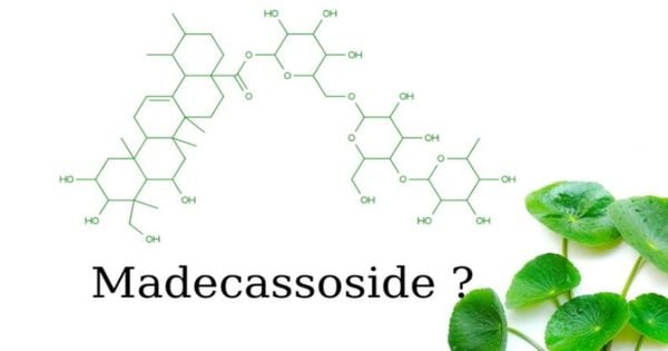 Key Benefits of Madecassoside in Facial Creams Key Benefits of Madecassoside in Facial Creams