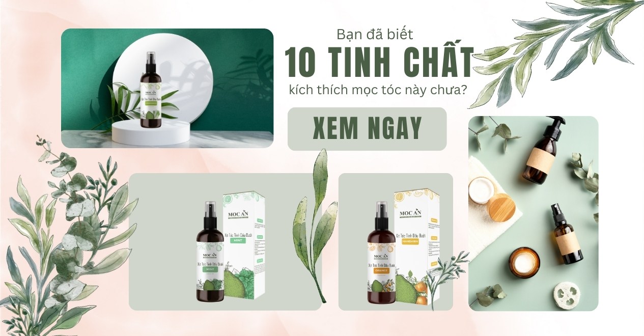 Bạn đã biết 10 tinh chất kích thích mọc tóc hiệu quả và an toàn này chưa?
