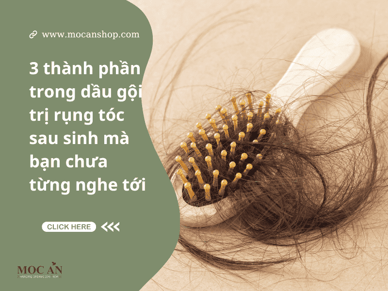 3 thành phần trong dầu gội trị rụng tóc sau sinh mà bạn chưa từng nghe tới