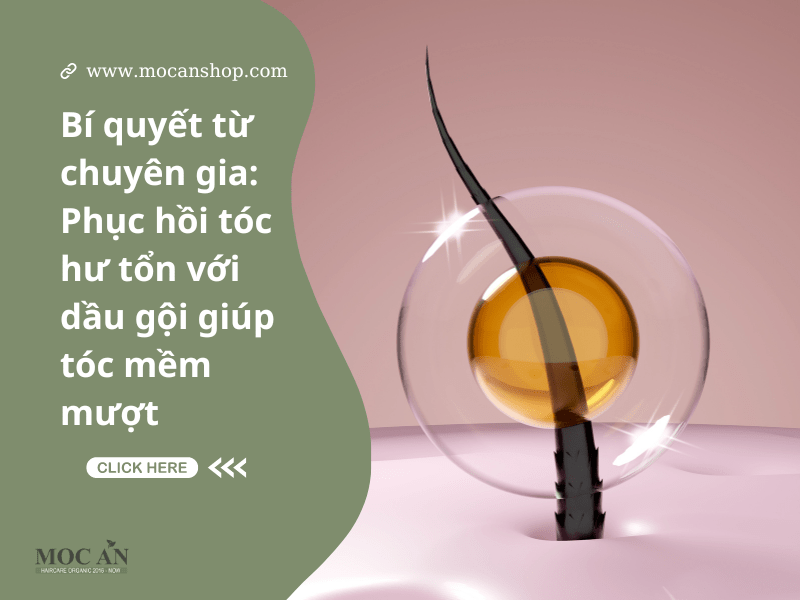 Bí quyết từ chuyên gia: Phục hồi tóc hư tổn với dầu gội giúp tóc mềm mượt