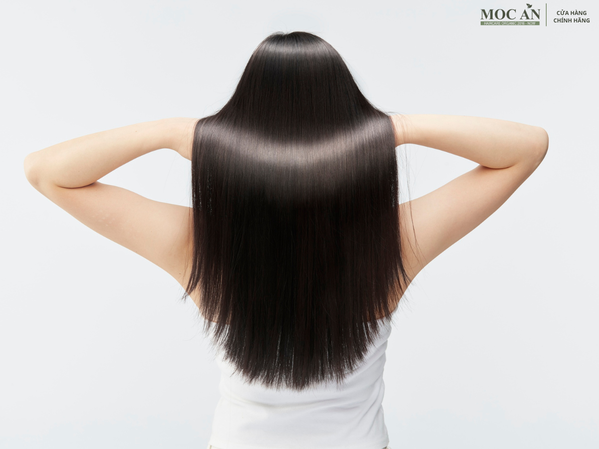 Mộc Ân Haircare – Xịt Bưởi Xô Thơm: Tinh Hoa Thiên Nhiên Cho Sắc Đẹp & Sức Khỏe