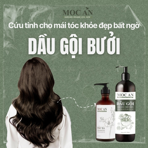 Dầu gội bưởi - Cứu tinh cho mái tóc khỏe đẹp bất ngờ