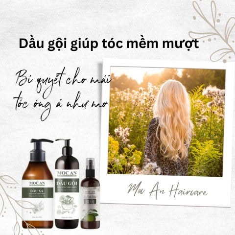 Dầu gội giúp tóc mềm mượt: Bí quyết cho mái tóc óng ả như mơ
