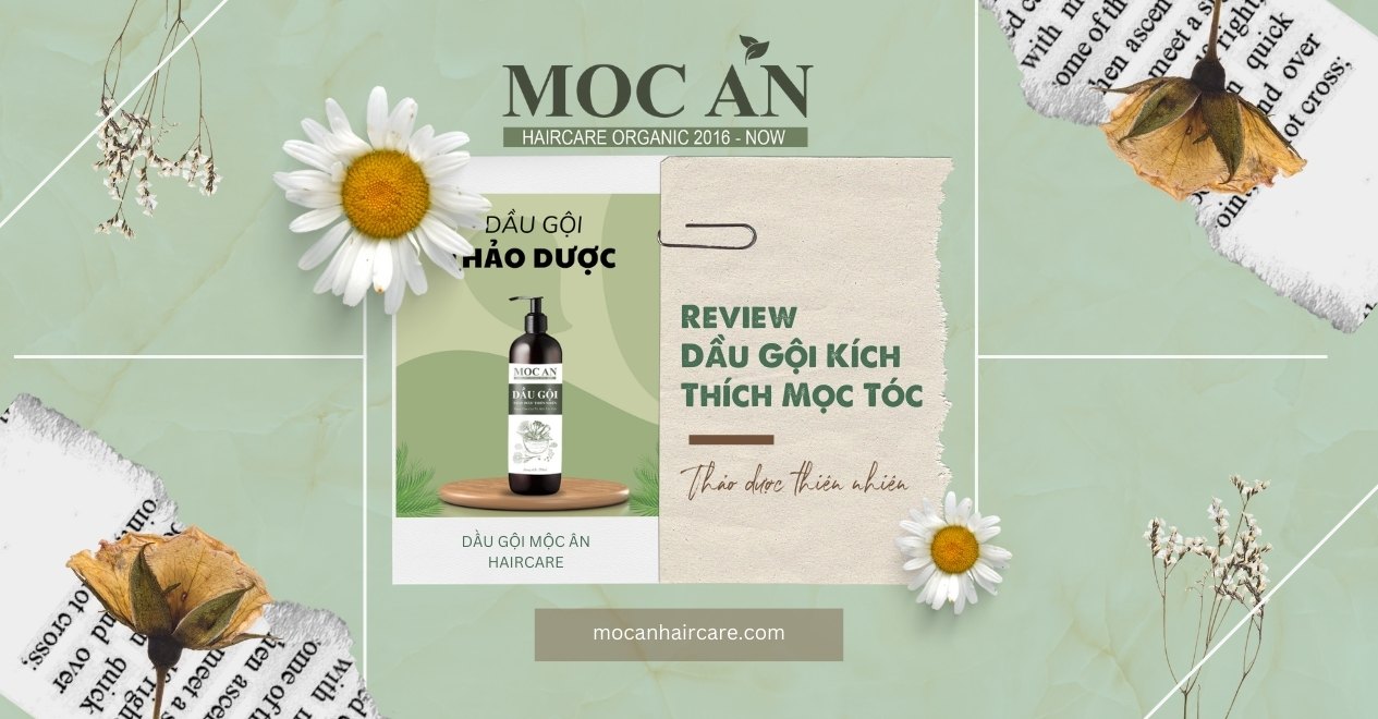 Review Dầu Gội Kích Thích Mọc Tóc Thảo Dược Bồ Kết Mộc Ân Haircare