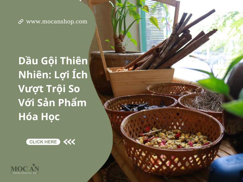 Dầu Gội Thiên Nhiên: Lợi Ích Vượt Trội So Với Sản Phẩm Hóa Học