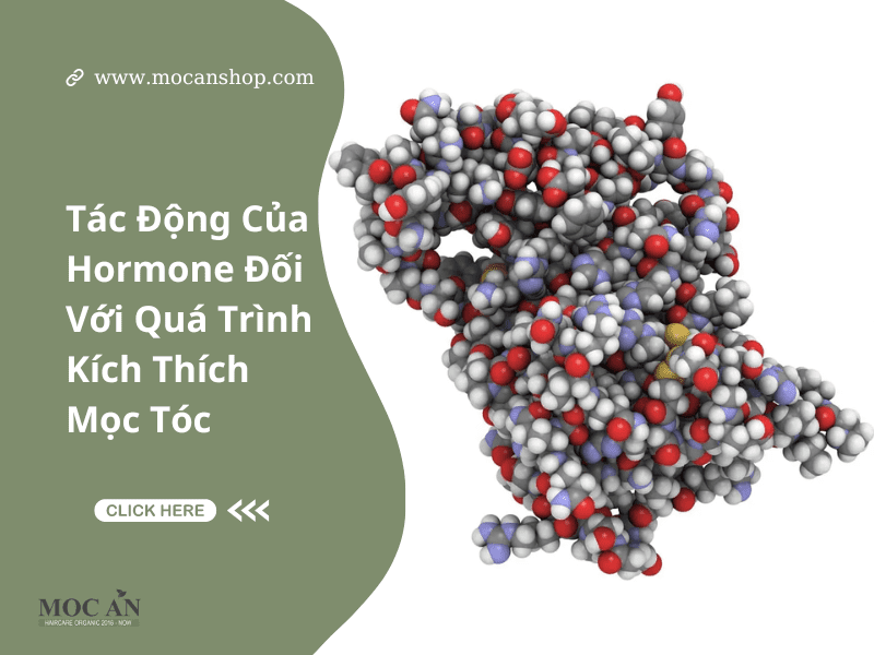 Tác Động Của Hormone Đối Với Quá Trình Kích Thích Mọc Tóc