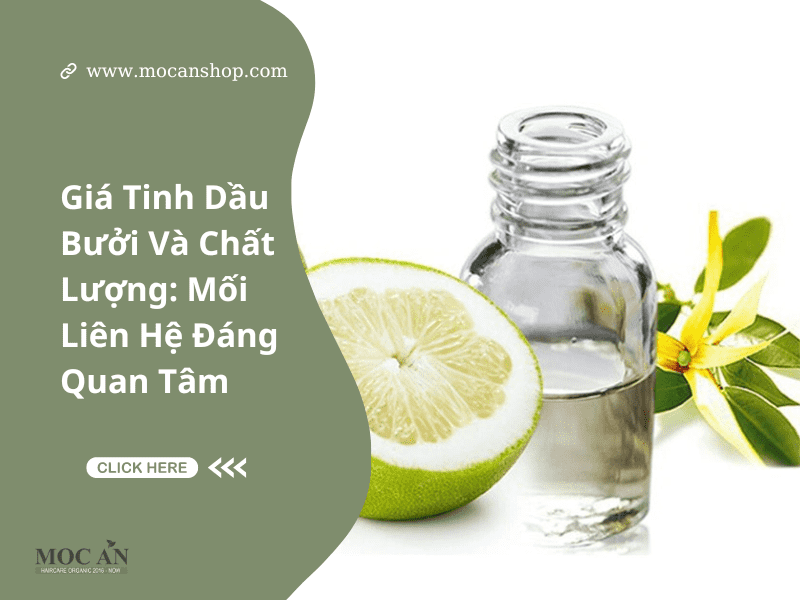 Giá Tinh Dầu Bưởi Và Chất Lượng: Mối Liên Hệ Đáng Quan Tâm