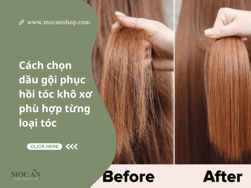 Cách Chọn Dầu Gội Phục Hồi Tóc Khô Xơ Phù Hợp Với Loại Tóc Của Bạn