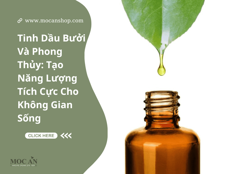 Tinh Dầu Bưởi Và Phong Thủy: Tạo Năng Lượng Tích Cực Cho Không Gian Sống