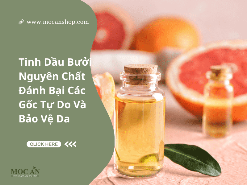 Tinh Dầu Bưởi Nguyên Chất Đánh Bại Các Gốc Tự Do Và Bảo Vệ Da