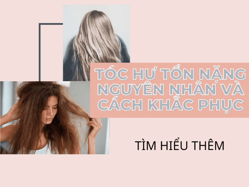 Tóc Hư Tổn? Đây Là Những Gì Bạn Cần Biết Và Làm Ngay