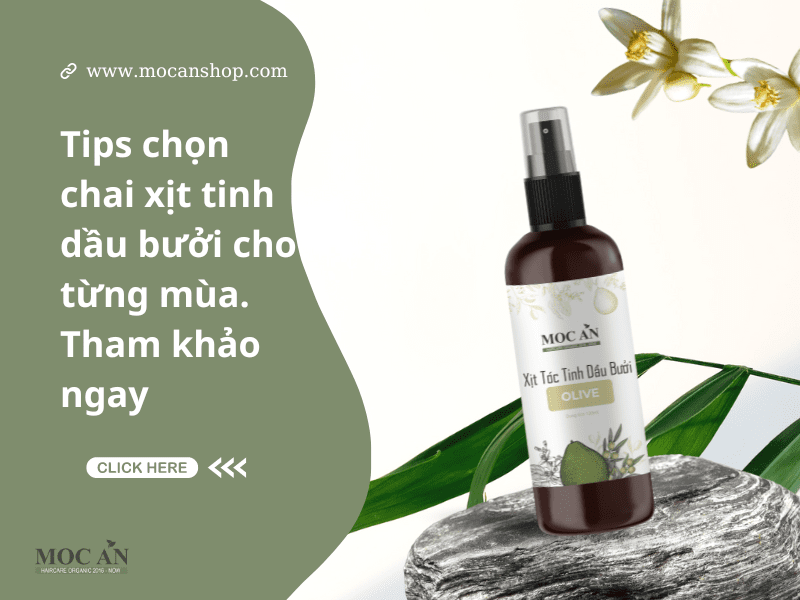 Review chai xịt tinh dầu bưởi theo mùa: Sản phẩm nào phù hợp với khí hậu nóng ẩm, khô lạnh?