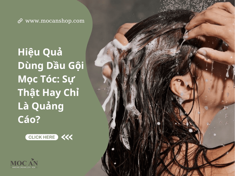 Hiệu Quả Dùng Dầu Gội Mọc Tóc: Sự Thật Hay Chỉ Là Quảng Cáo?