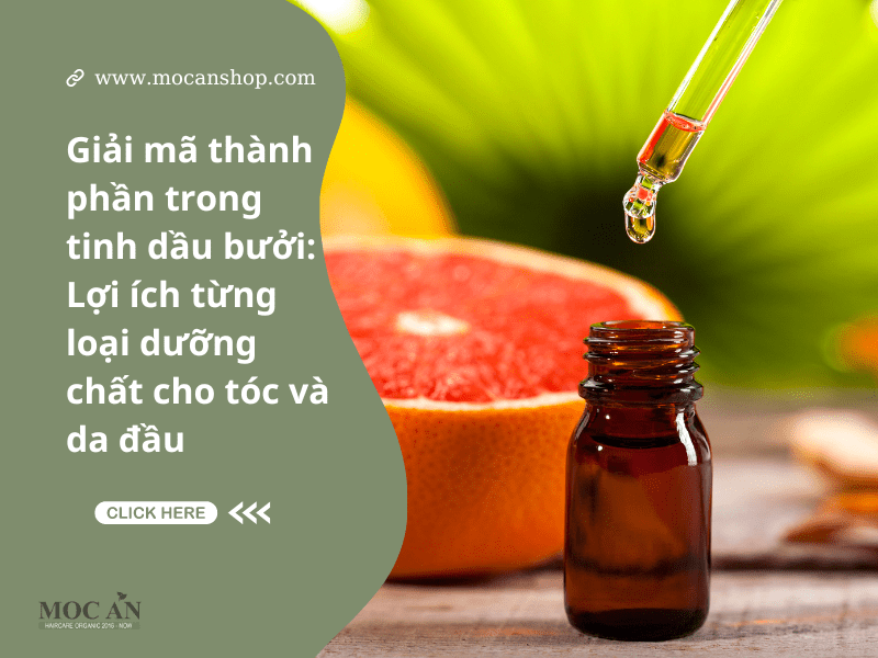 Giải mã thành phần trong tinh dầu bưởi: Lợi ích từng loại dưỡng chất cho tóc và da đầu