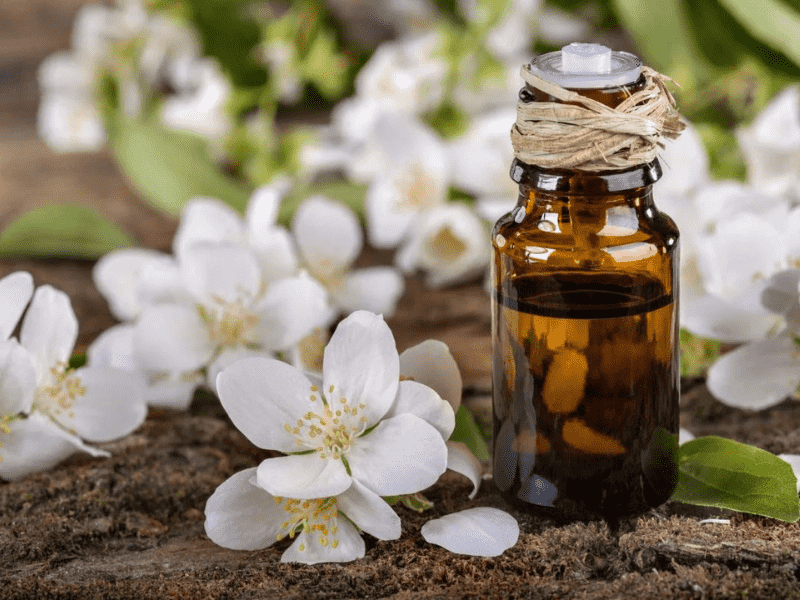 Mách nhỏ với bạn 6 Công Thức Mặt Nạ Tóc Tự Nhiên Với Tinh Dầu Hoa Bưởi