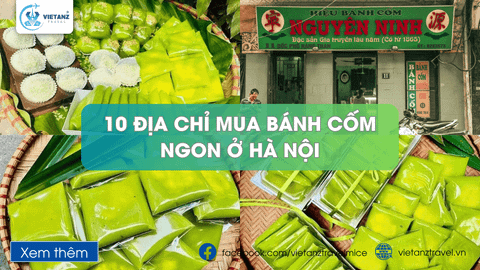 10 Địa Chỉ Mua Bánh Cốm Ngon ở Hà Nội