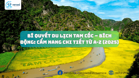 Bí Quyết Du Lịch Tam Cốc – Bích Động: Cẩm Nang Chi Tiết Từ A-Z (2025)