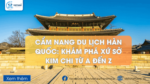 Cẩm Nang Du Lịch Hàn Quốc 2025: Khám Phá Xứ Sở Kim Chi Từ A Đến Z
