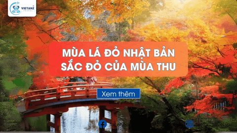 Mùa lá đỏ Nhật Bản - Sắc đỏ của mùa thu | Du lịch Nhật 2023