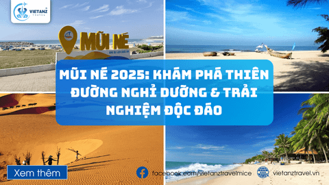 Mũi Né 2025: Khám Phá Thiên Đường Nghỉ Dưỡng & Trải Nghiệm Độc Đáo