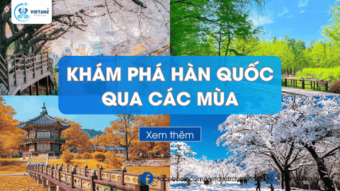 Nên đi du lịch Hàn Quốc vào mùa nào?