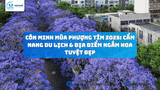 Côn Minh Mùa Phượng Tím 2025: Cẩm Nang Du Lịch & Địa Điểm Ngắm Hoa Tuyệt Đẹp