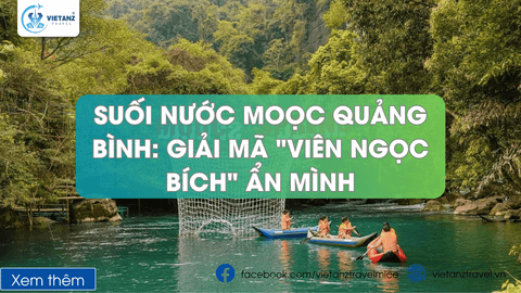 Suối Nước Moọc Quảng Bình: Giải Mã 