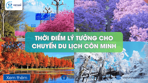 Côn Minh Mùa Nào Cũng Đẹp: Hướng Dẫn Chi Tiết Cho Chuyến Đi Hoàn Hảo