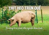 An Phú Farm và hành trình 7 năm mở trang trại nuôi heo trùn quế