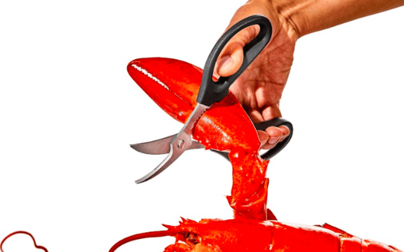 Kéo cắt hải sản OXO