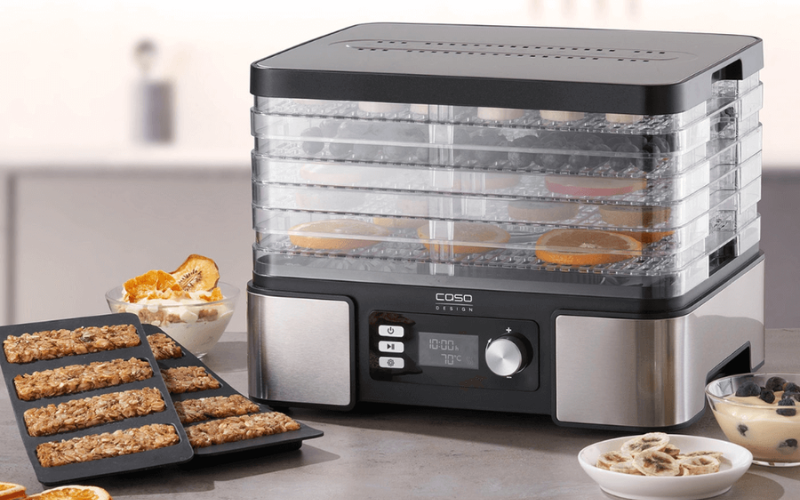Máy sấy hoa quả, thức phẩm CASO DH450 nội địa Đức