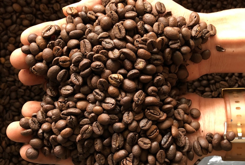 Giới thiệu nhà cung cấp cafe rang xay tốt nhất – COFFEE CONCEPT