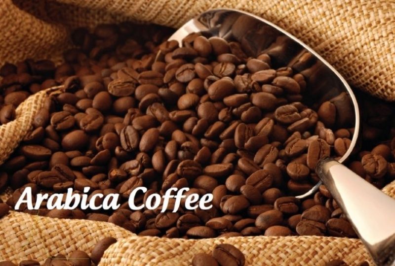 Cung cấp cà phê hạt Arabica chất lượng cao