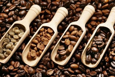 Cà phê hạt: Sự lựa chọn của các chuyên gia thưởng thức cà phê