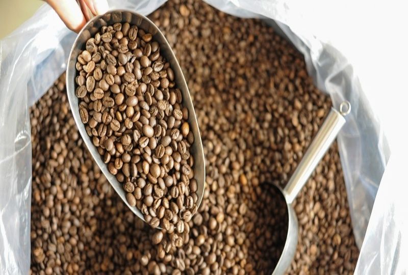 Bảo quản cà phê hạt rang xay như thế nào là hiệu quả ?
