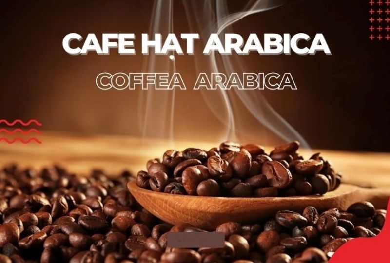 Cà phê rang Arabica là gì? Cách chọn mua cà phê rang Arabica chất lượng