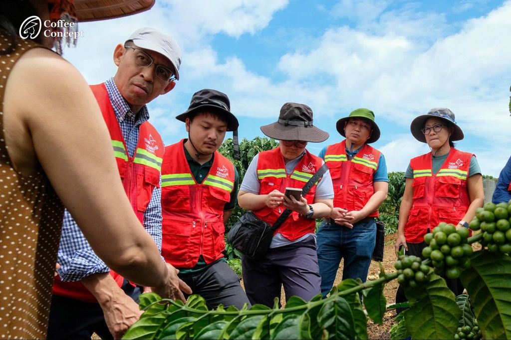 Hành Trình Cà Phê – Các Hoạt Động Nâng Cao Chất Lượng Cà Phê của Coffee Concept