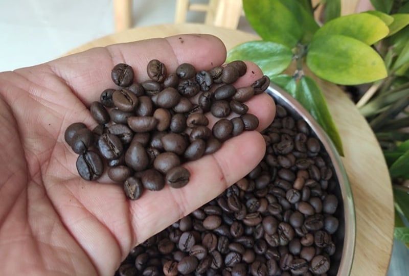 Những đặc điểm giúp bạn nhận biết đâu là cà phê nguyên chất