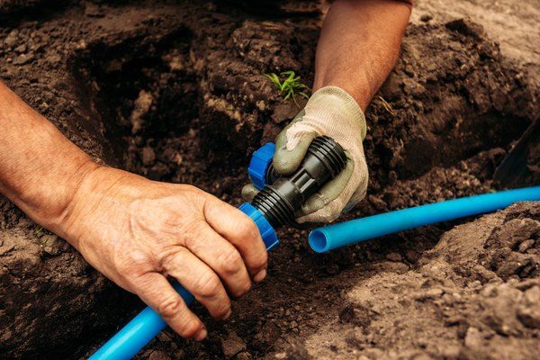 Vai Trò Của Nước Trong Canh Tác Cà Phê
