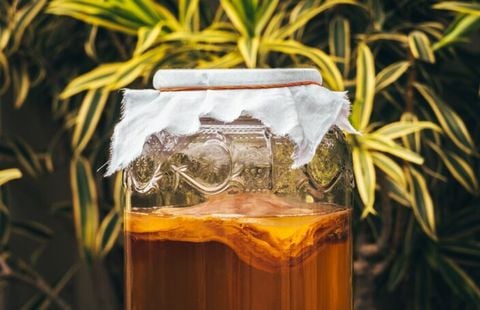 Góc Quầy Bar - Trà Kombucha Là Gì?