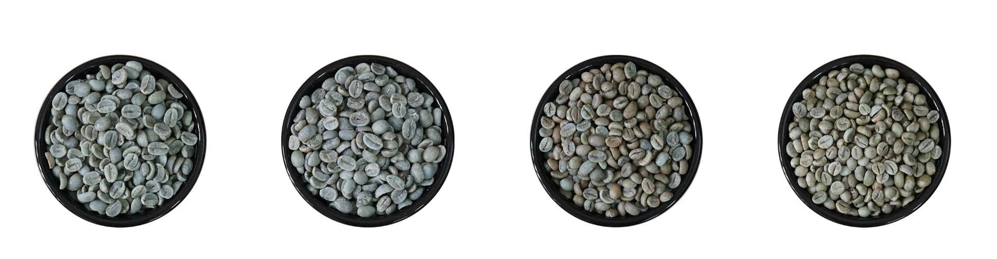 Coffee Concept – Nhà cung cấp hạt cà phê nhân xanh chất lượng cao