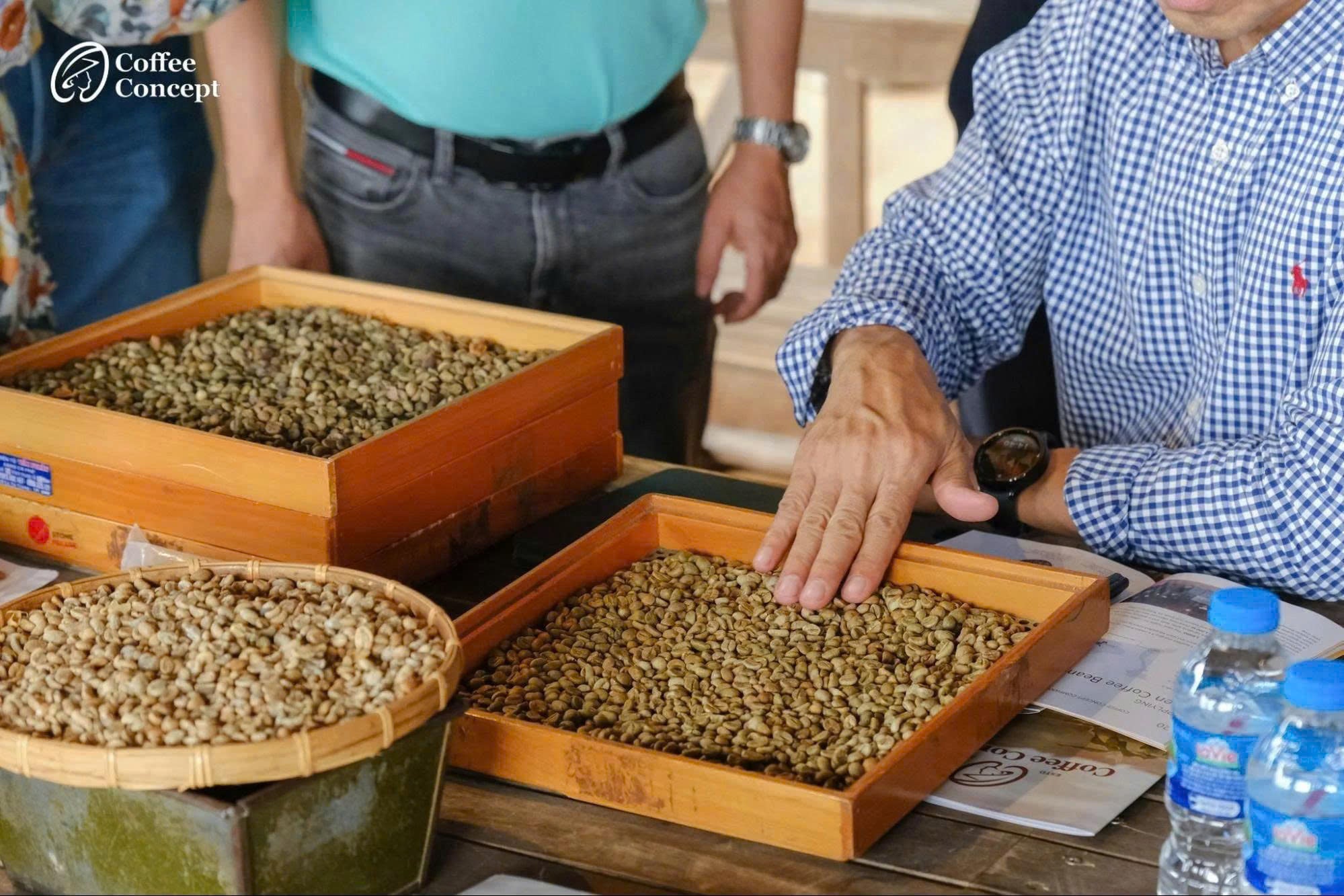 Tiêu chuẩn cơ bản của hạt cà phê nhân xanh chất lượng cao