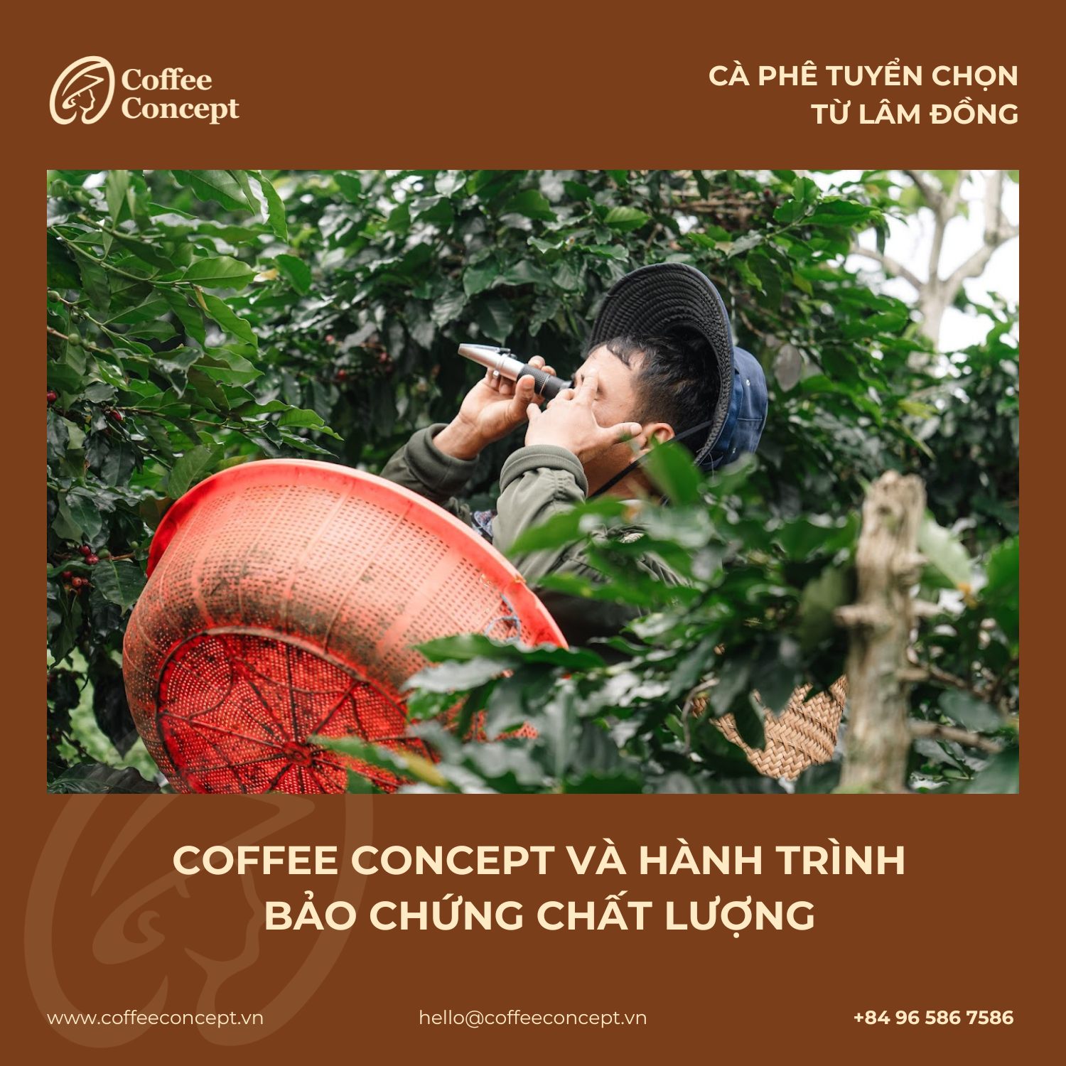 Đằng sau mỗi tách cà phê rang xay chất lượng là hành trình của đam mê và sự tận tâm