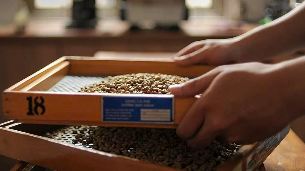 Quy trình sơ chế sạch – Giữ nguyên độ tinh khiết