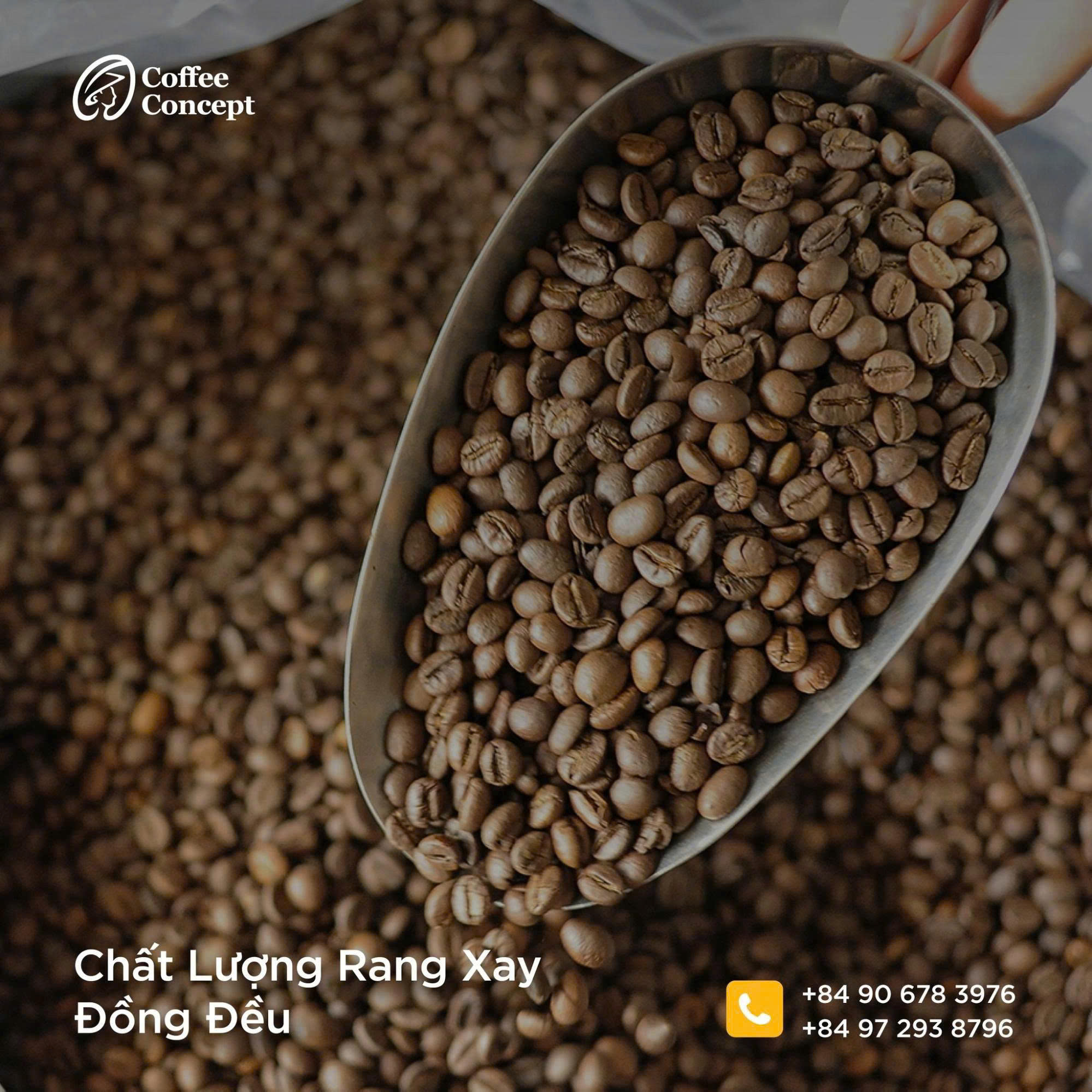 Chọn cà phê rang xay cho pha Phin – Gu Việt đậm đà